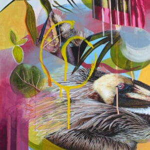 Pelican, 2023