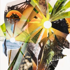 Wetlands Collage
