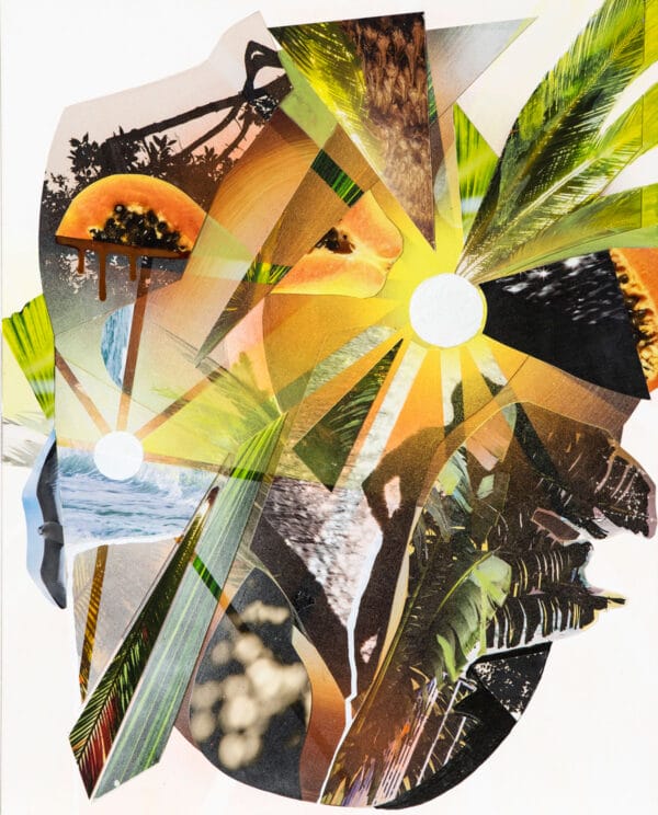 Wetlands Collage